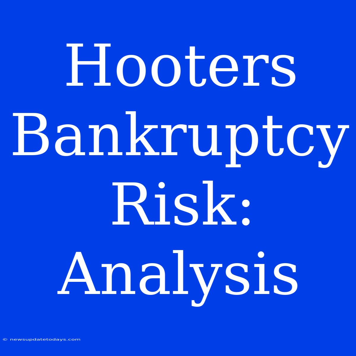 Hooters Bankruptcy Risk: Analysis