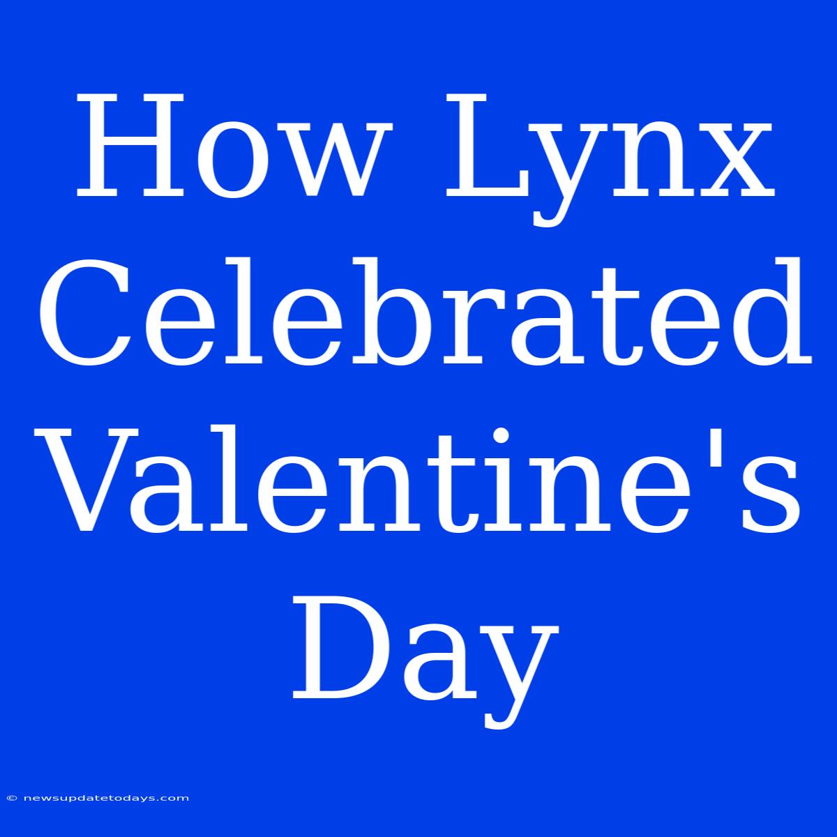 How Lynx Celebrated Valentine's Day