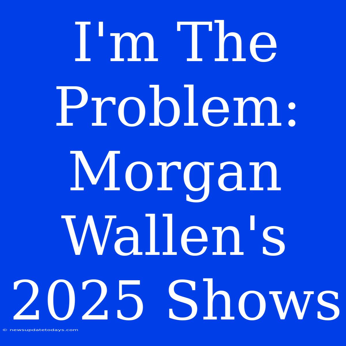 I'm The Problem: Morgan Wallen's 2025 Shows