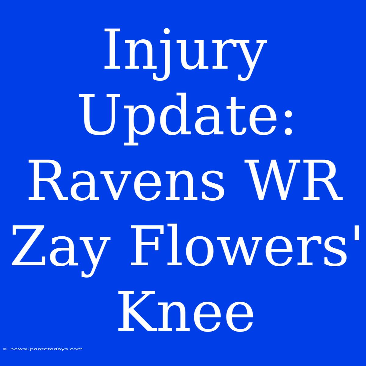 Injury Update: Ravens WR Zay Flowers' Knee