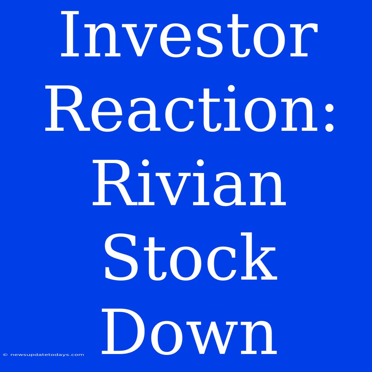 Investor Reaction: Rivian Stock Down