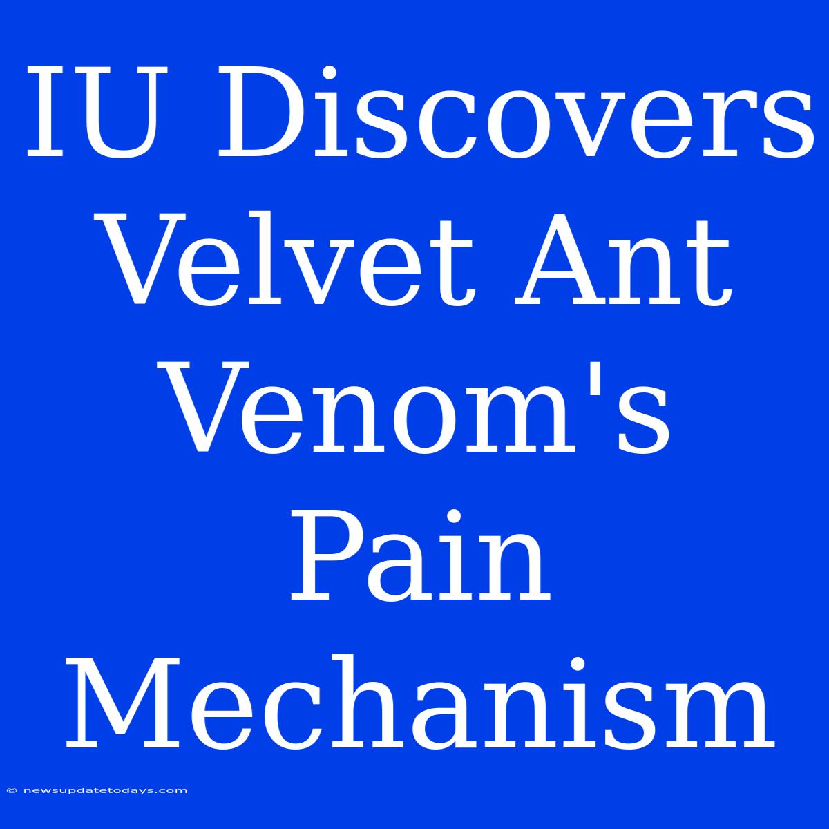 IU Discovers Velvet Ant Venom's Pain Mechanism