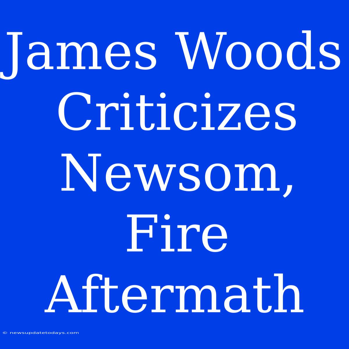 James Woods Criticizes Newsom, Fire Aftermath