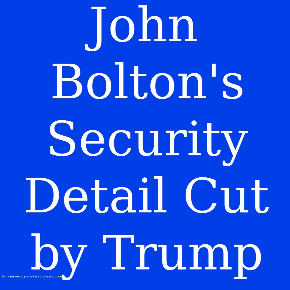 John Bolton's Security Detail Cut By Trump