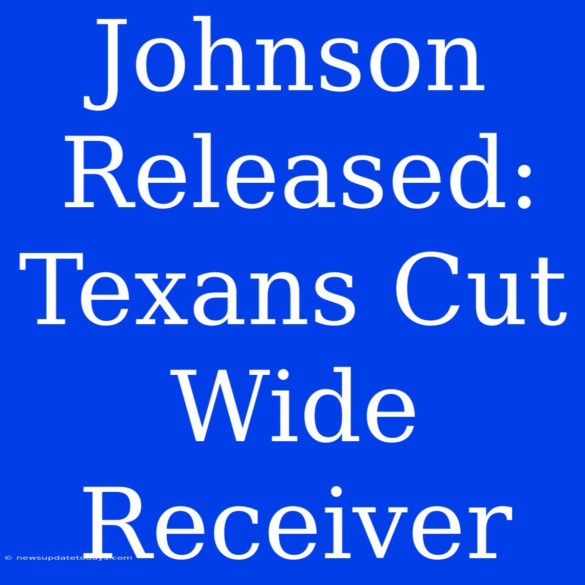 Johnson Released: Texans Cut Wide Receiver