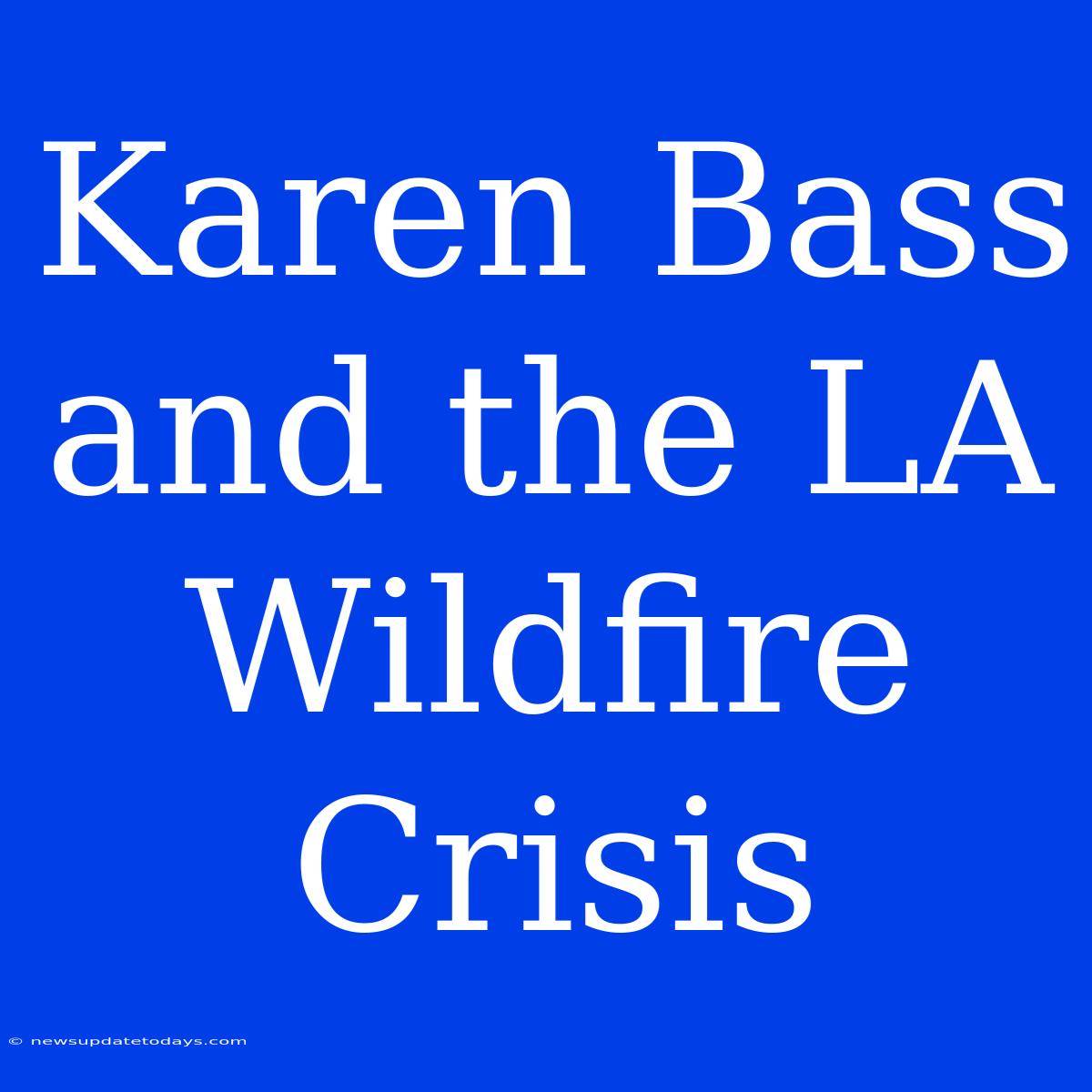 Karen Bass And The LA Wildfire Crisis