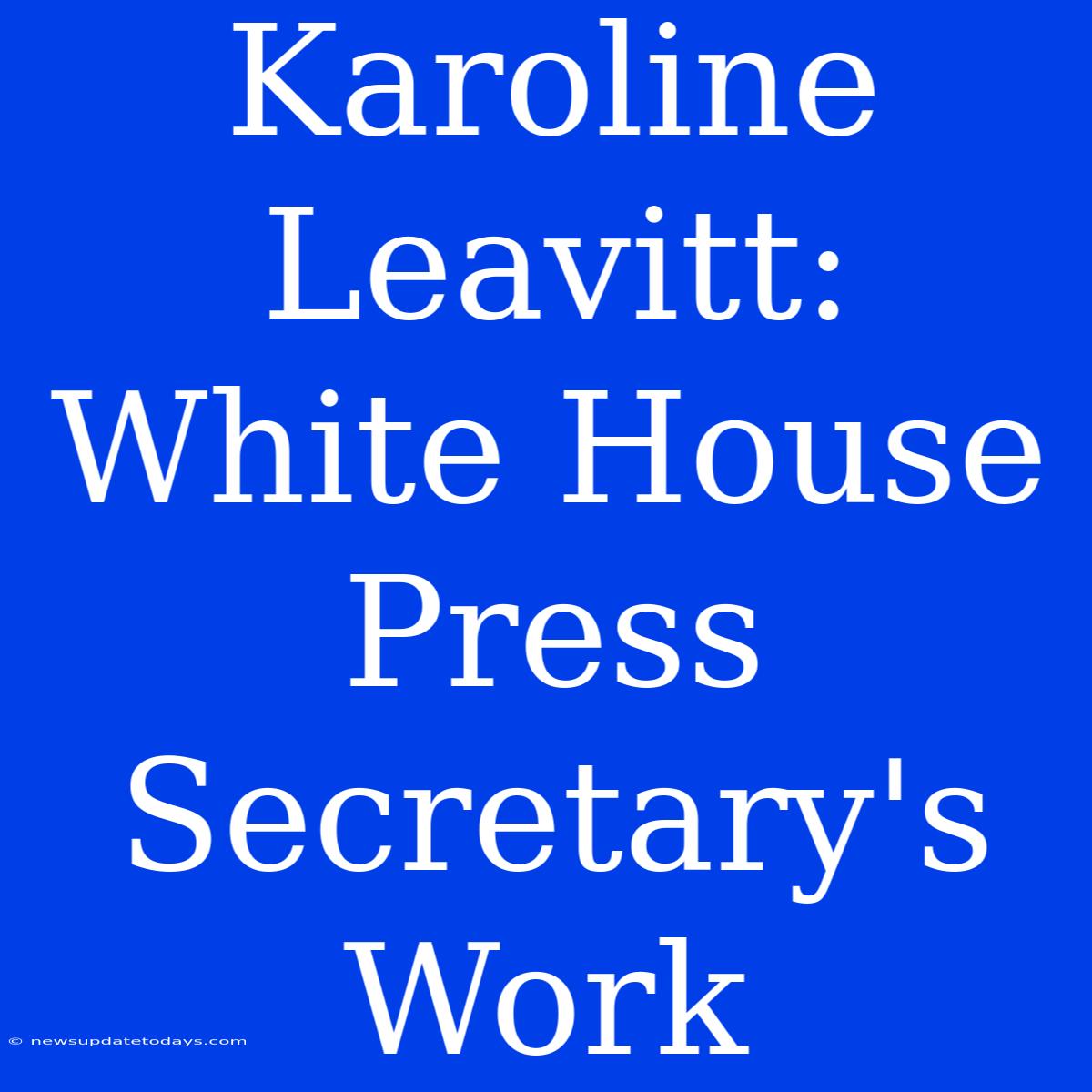 Karoline Leavitt:  White House Press Secretary's Work