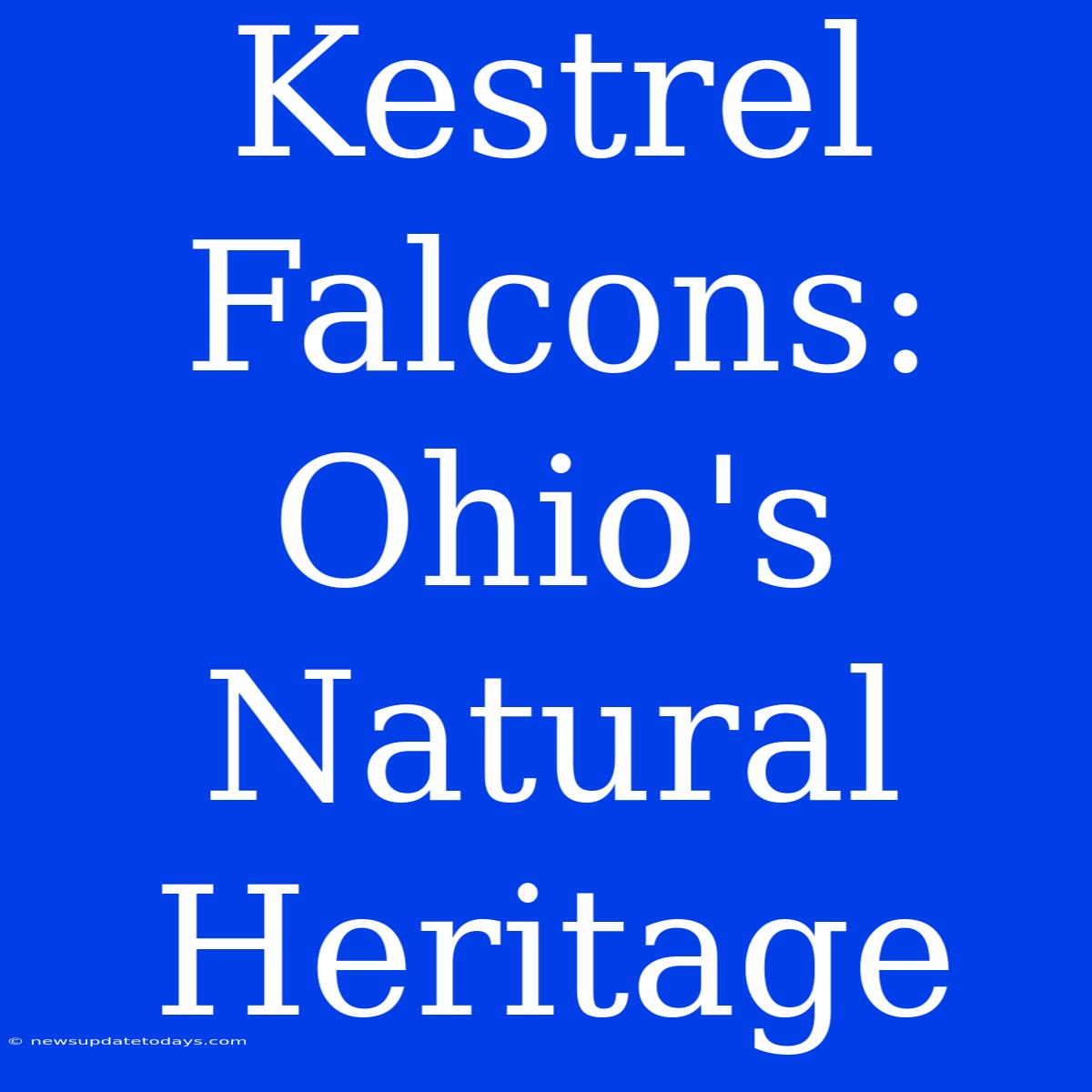 Kestrel Falcons: Ohio's Natural Heritage