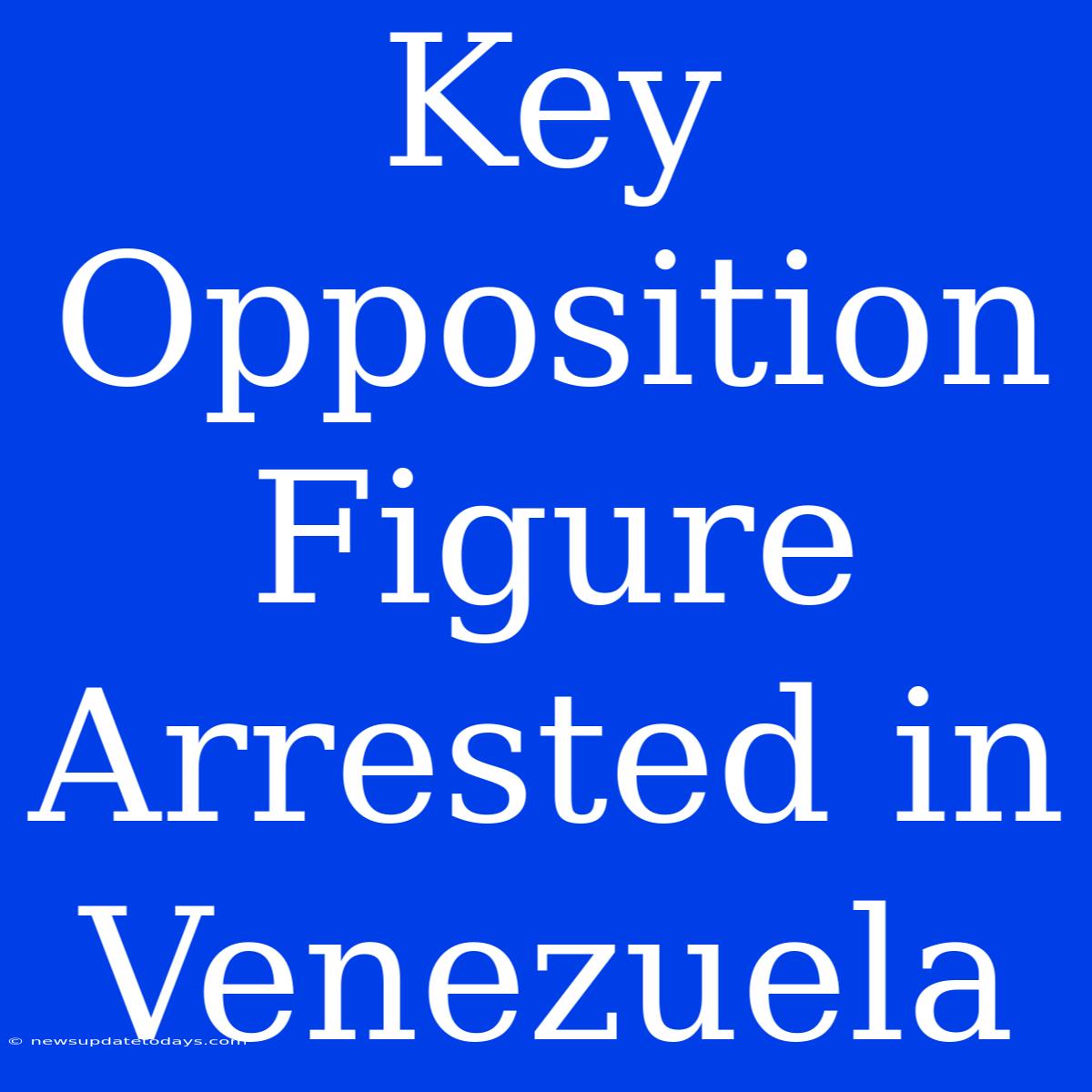 Key Opposition Figure Arrested In Venezuela