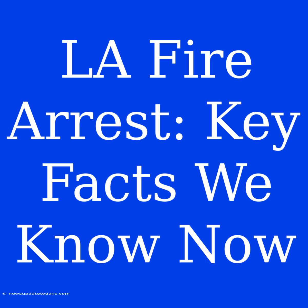 LA Fire Arrest: Key Facts We Know Now