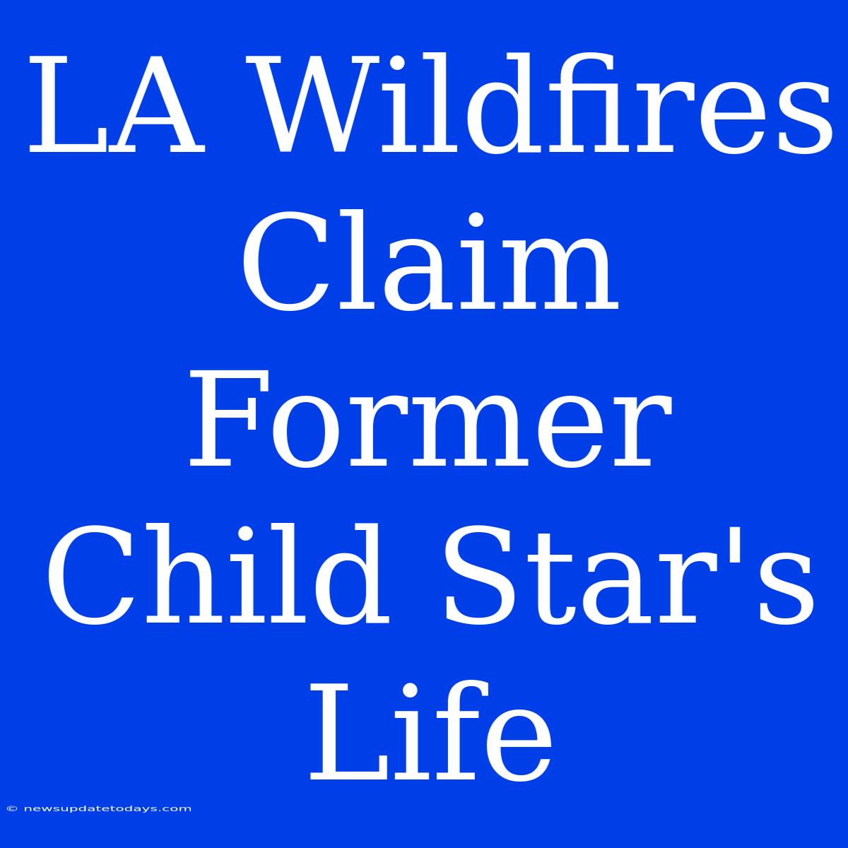 LA Wildfires Claim Former Child Star's Life