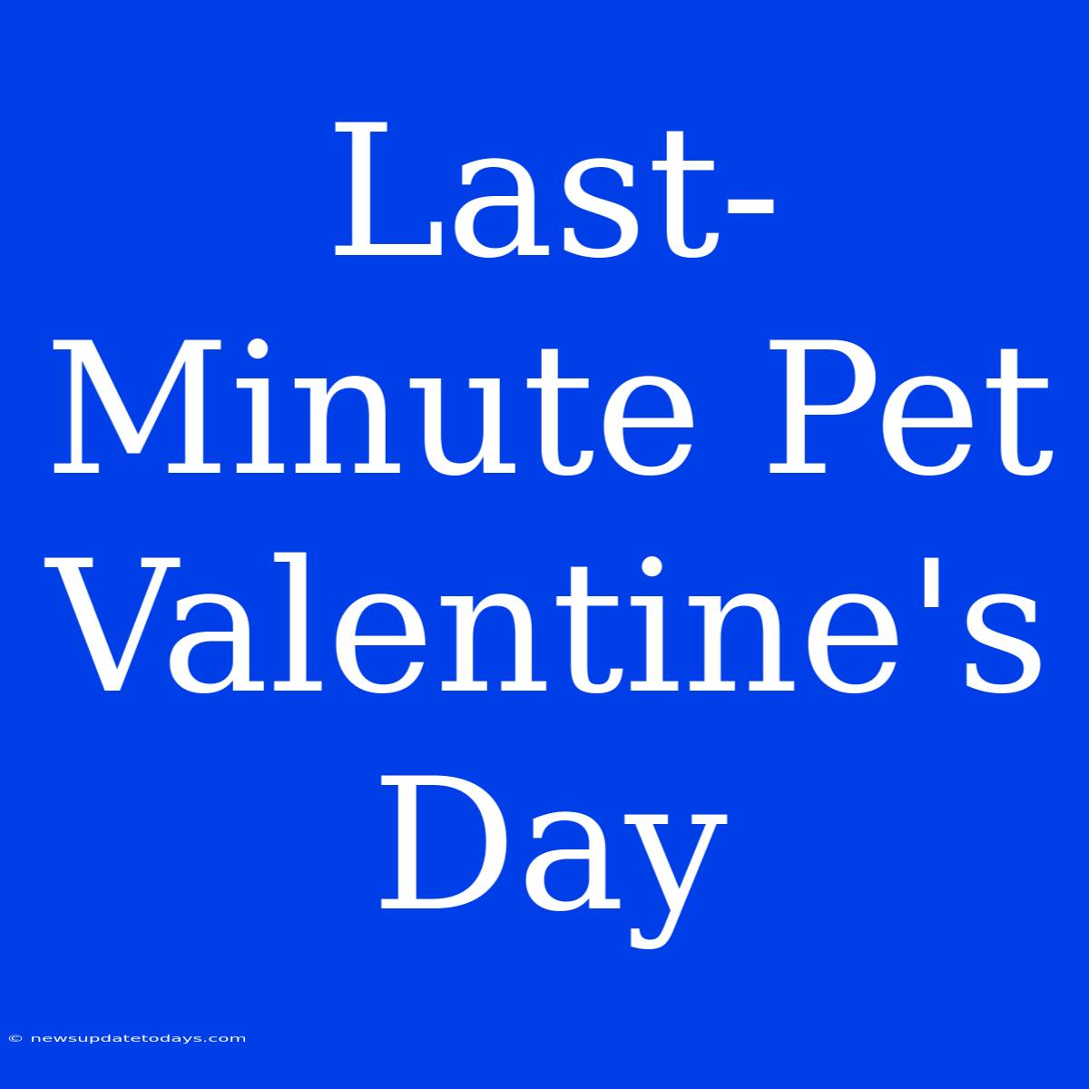 Last-Minute Pet Valentine's Day