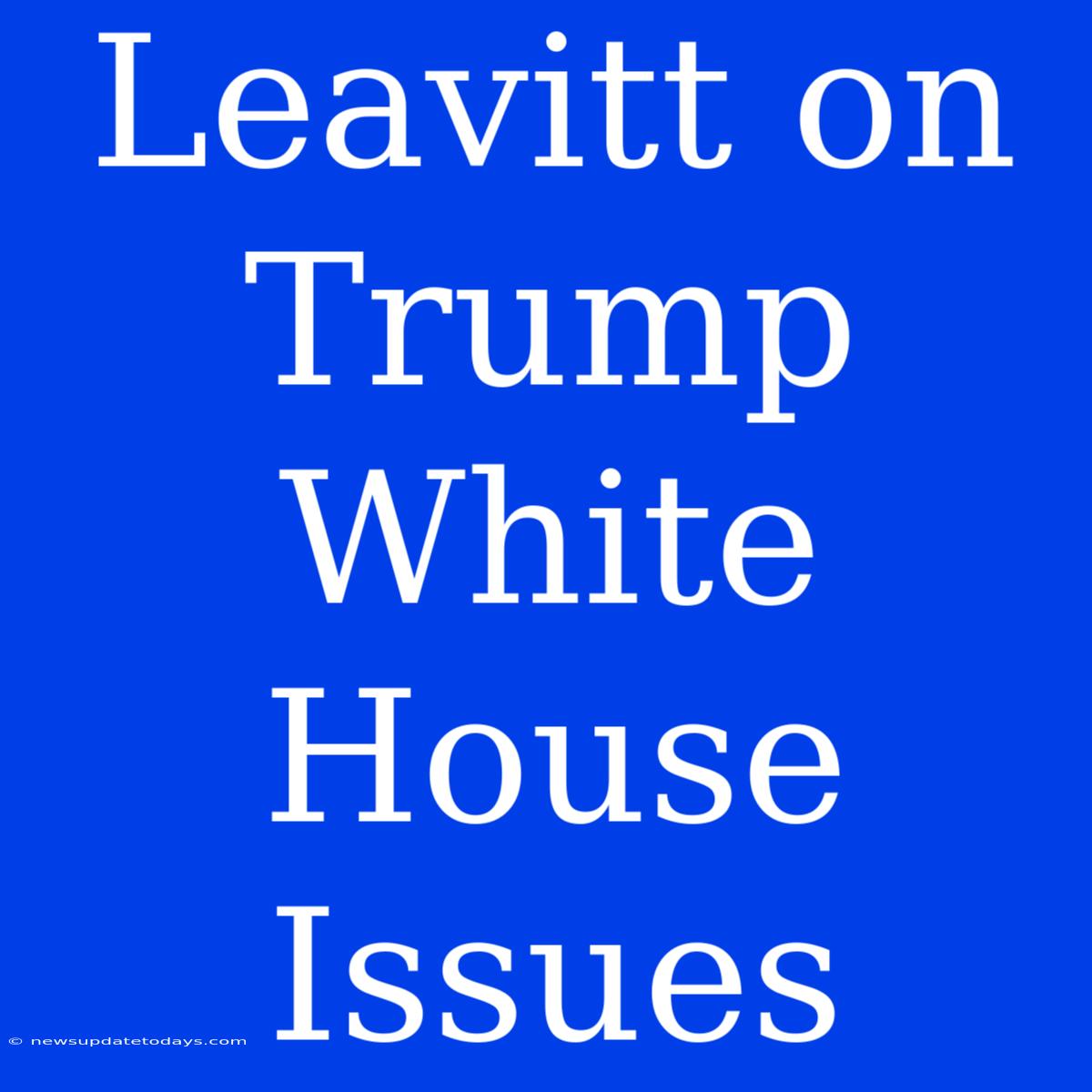 Leavitt On Trump White House Issues