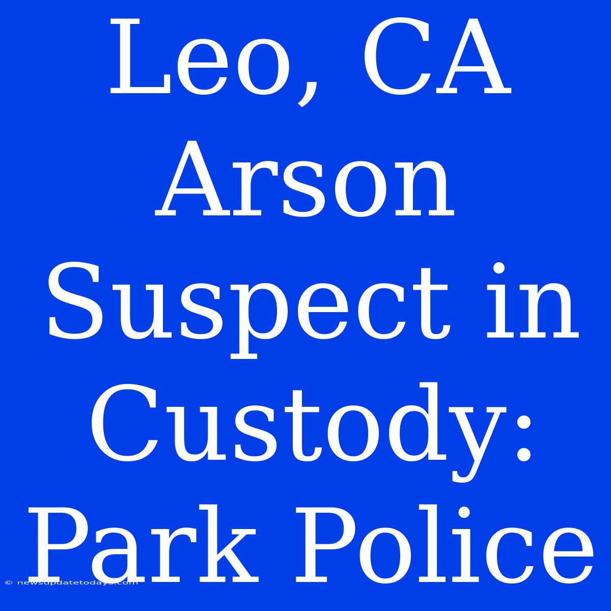 Leo, CA Arson Suspect In Custody: Park Police