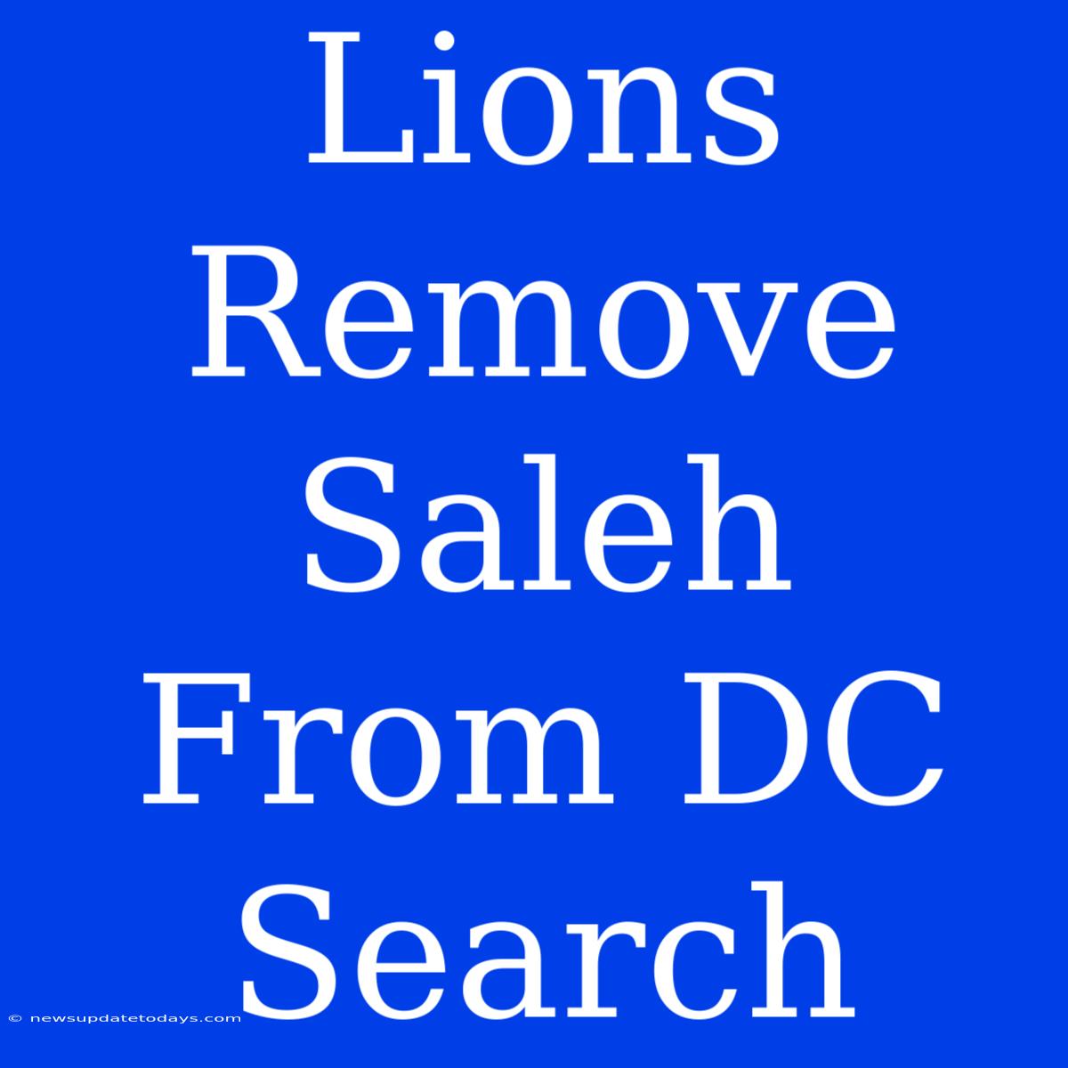 Lions Remove Saleh From DC Search