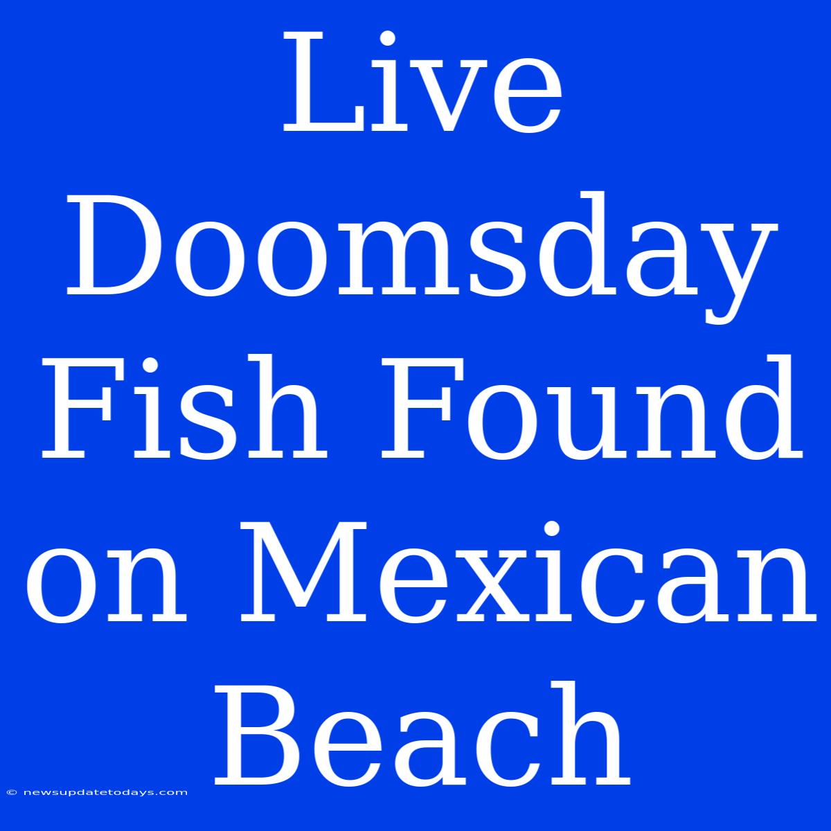 Live Doomsday Fish Found On Mexican Beach