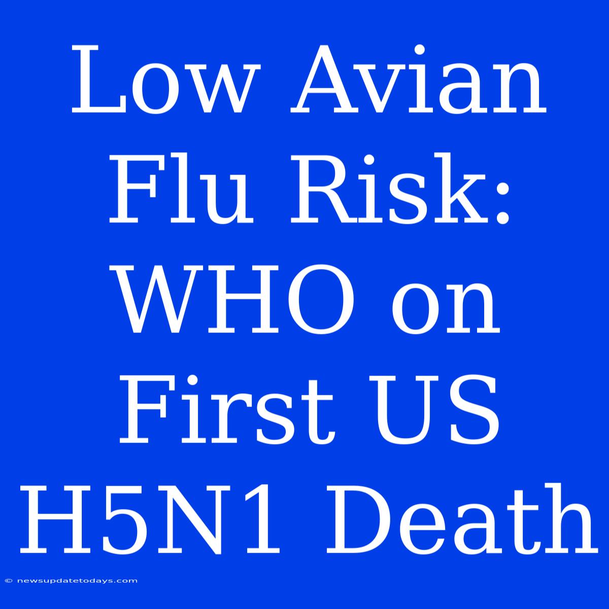 Low Avian Flu Risk: WHO On First US H5N1 Death