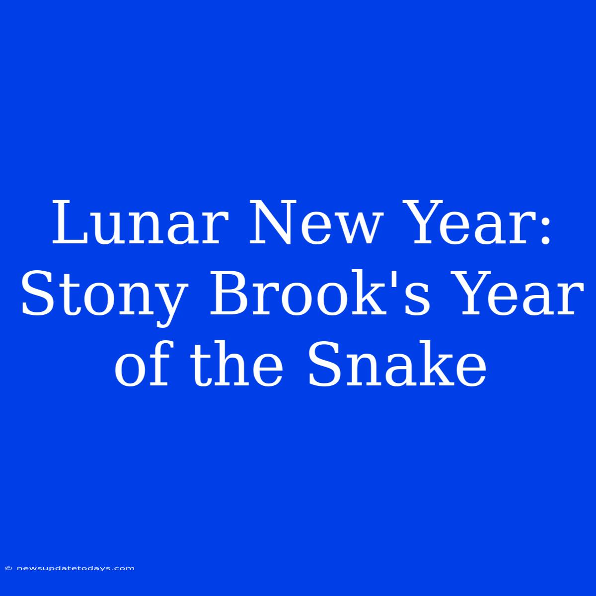 Lunar New Year: Stony Brook's Year Of The Snake