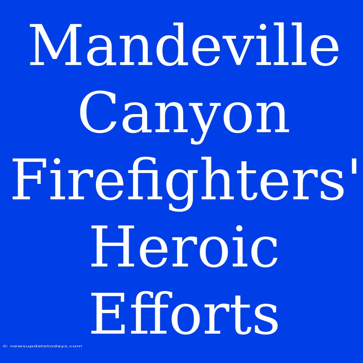 Mandeville Canyon Firefighters' Heroic Efforts