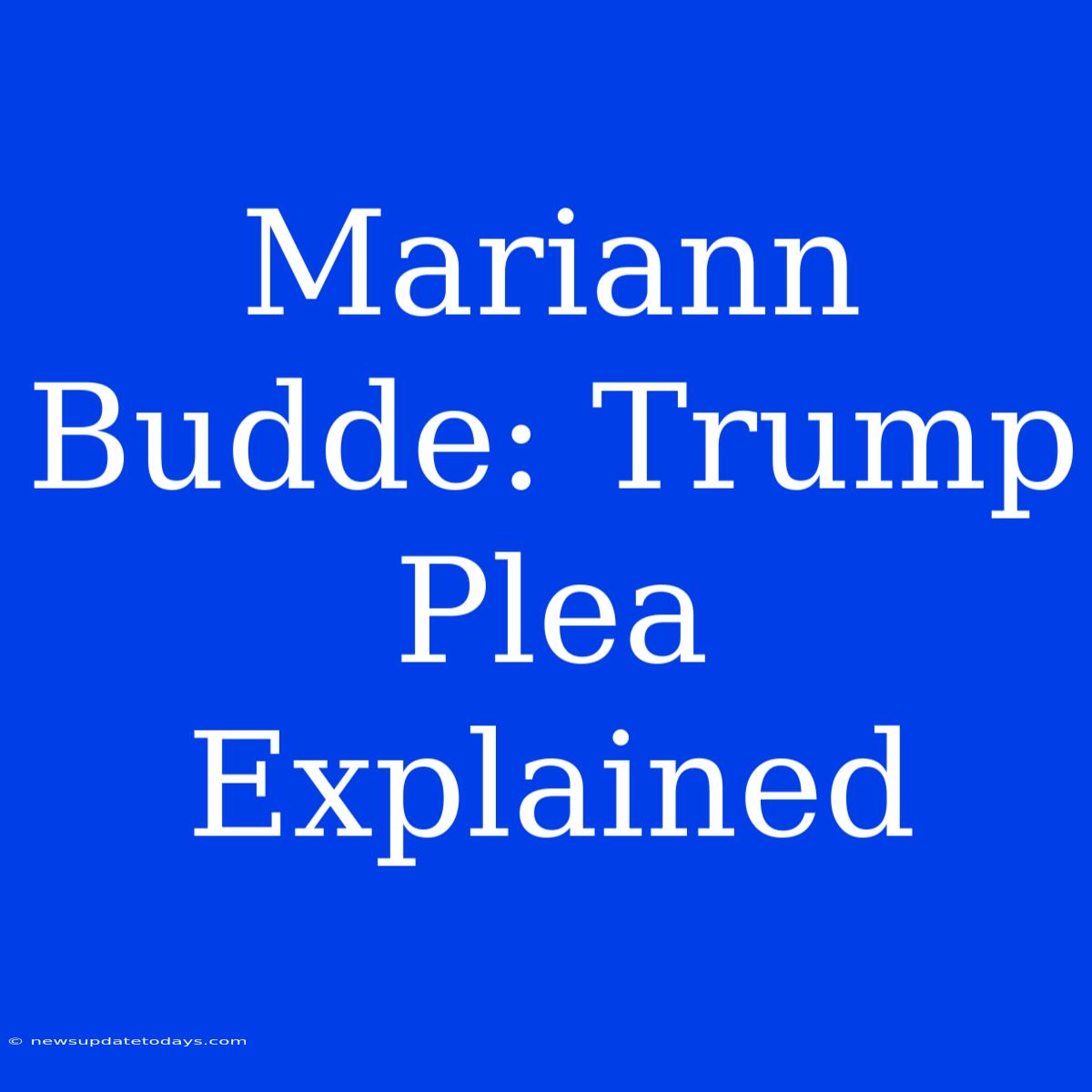 Mariann Budde: Trump Plea Explained