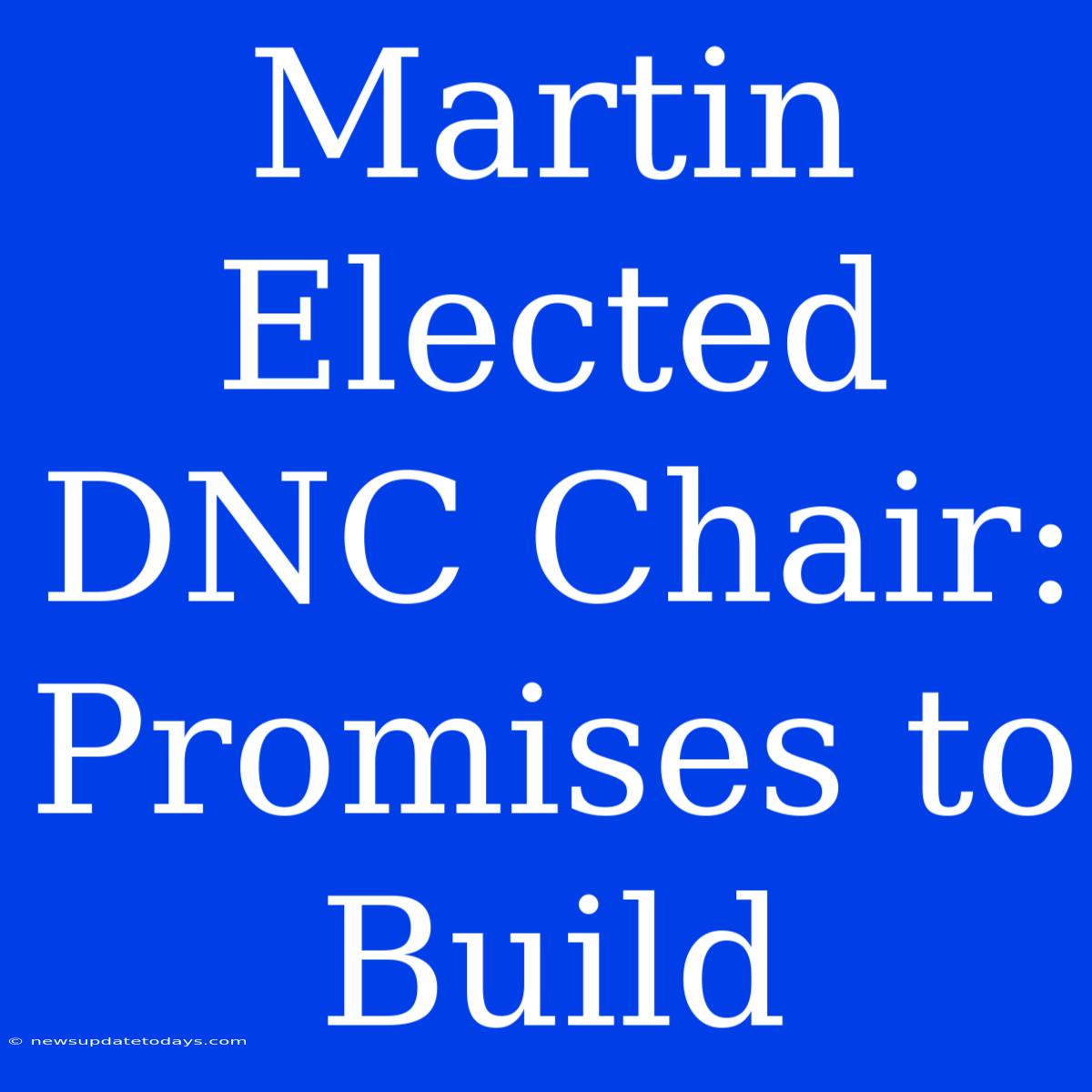 Martin Elected DNC Chair: Promises To Build