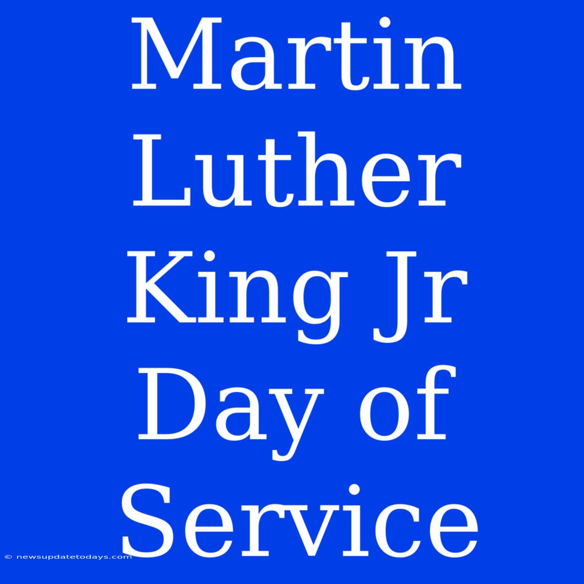 Martin Luther King Jr Day Of Service