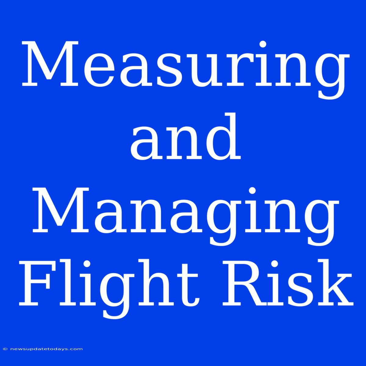 Measuring And Managing Flight Risk