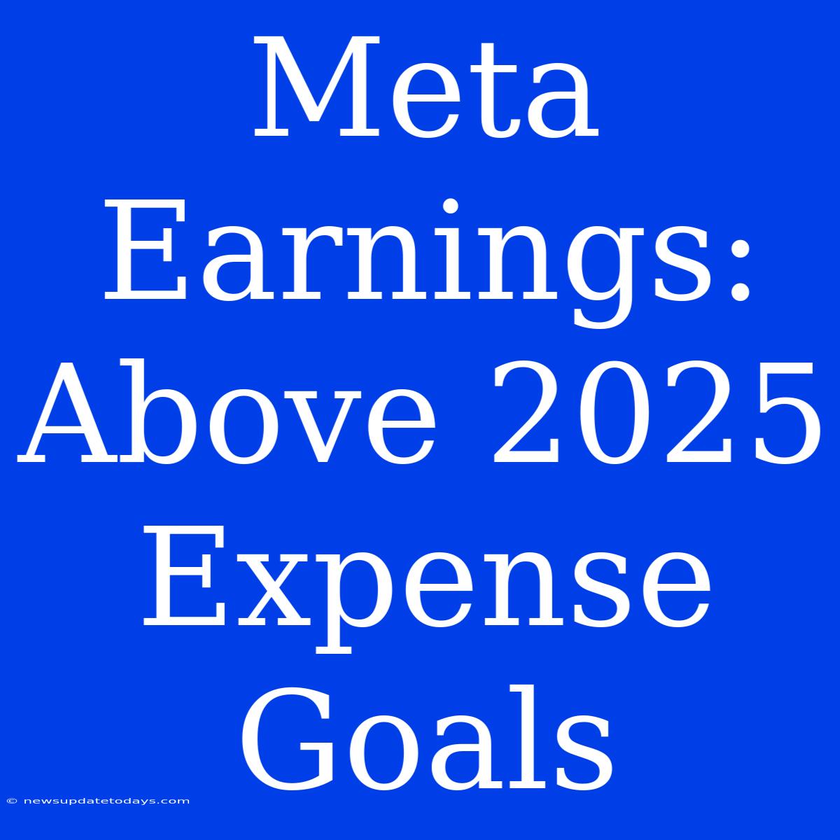 Meta Earnings: Above 2025 Expense Goals