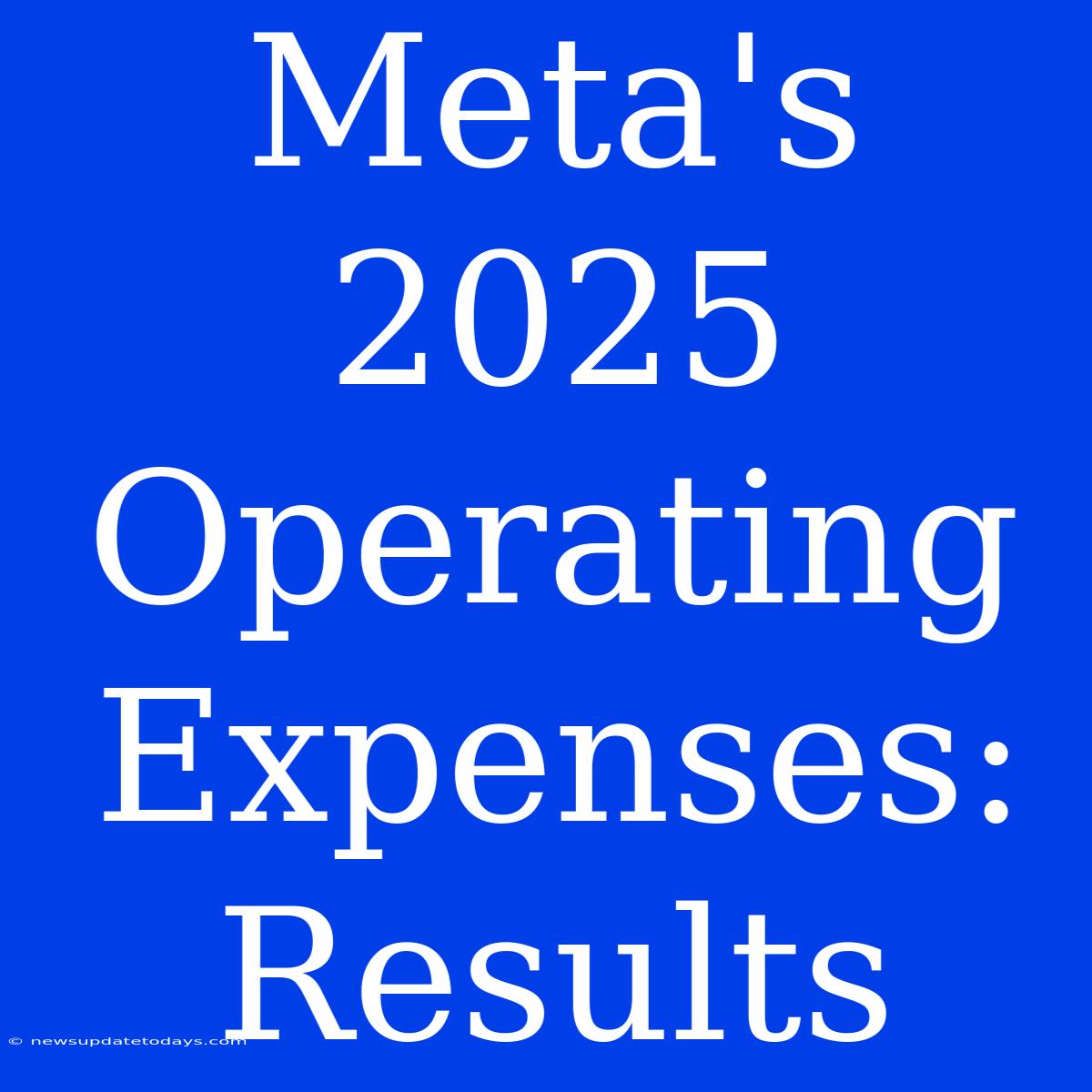 Meta's 2025 Operating Expenses: Results