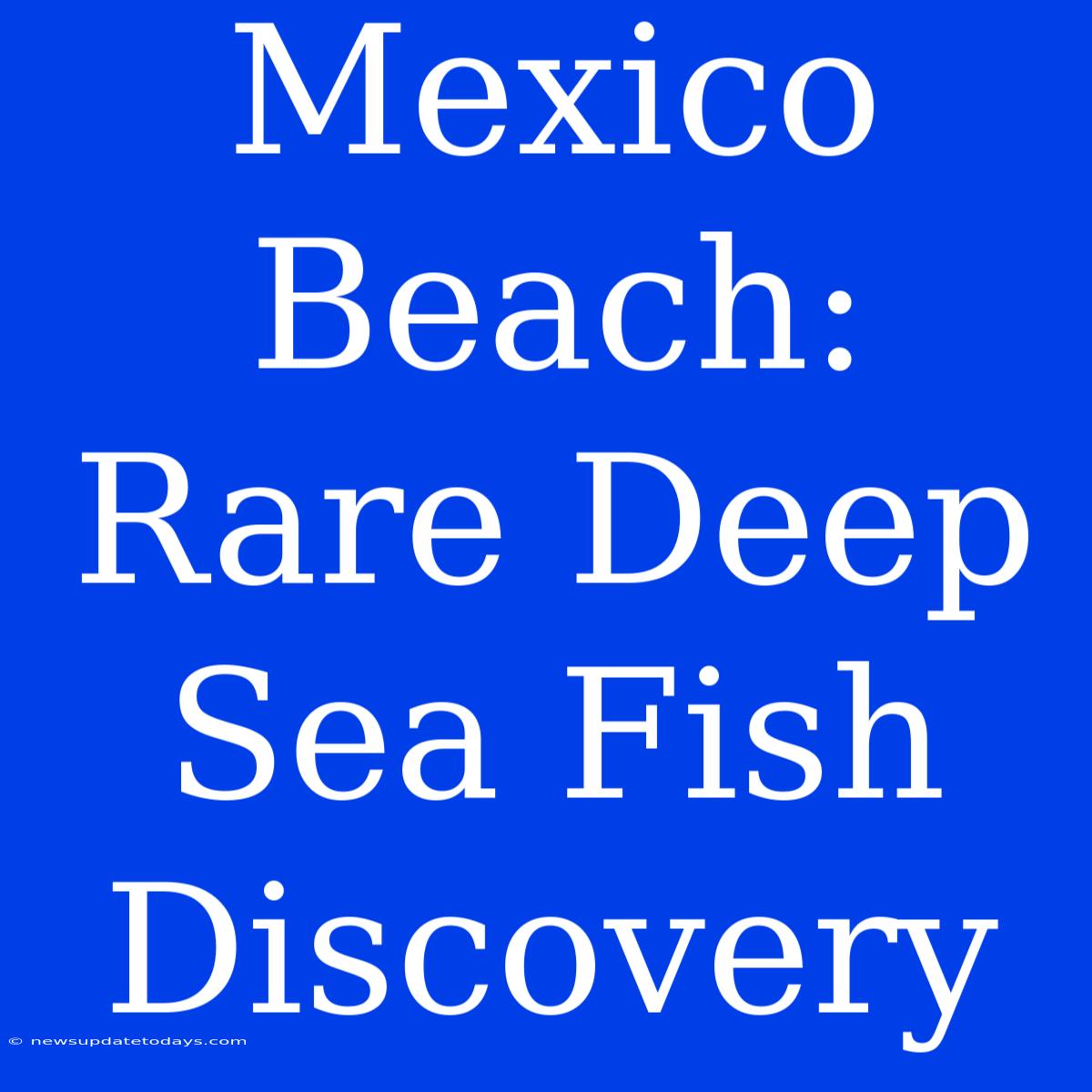 Mexico Beach: Rare Deep Sea Fish Discovery