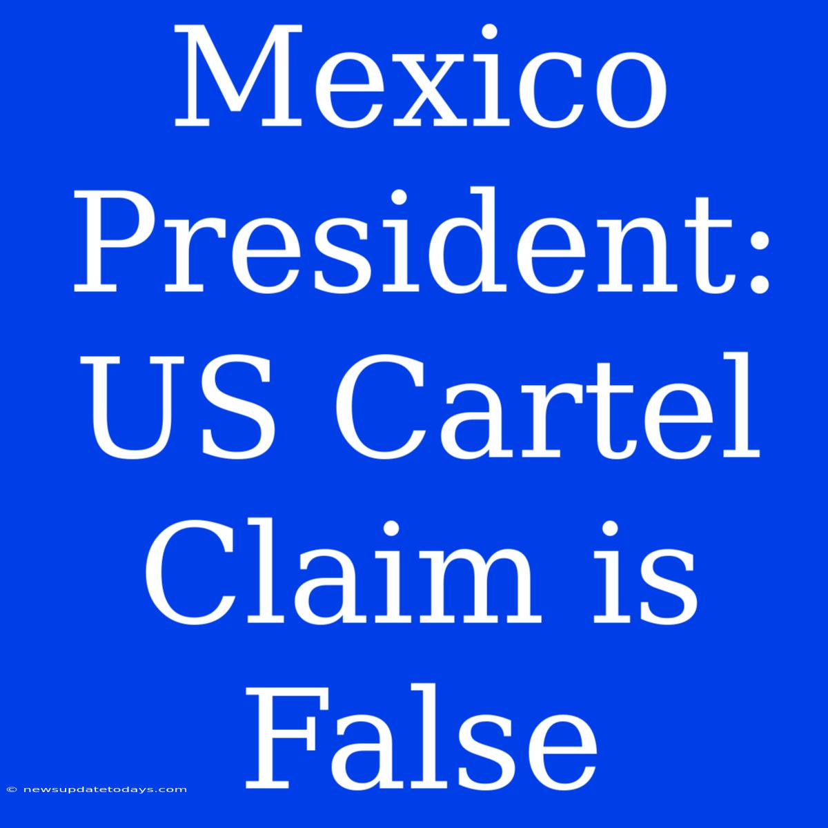 Mexico President: US Cartel Claim Is False