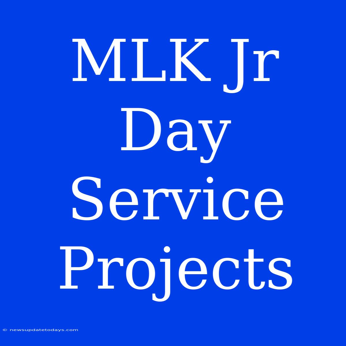 MLK Jr Day Service Projects