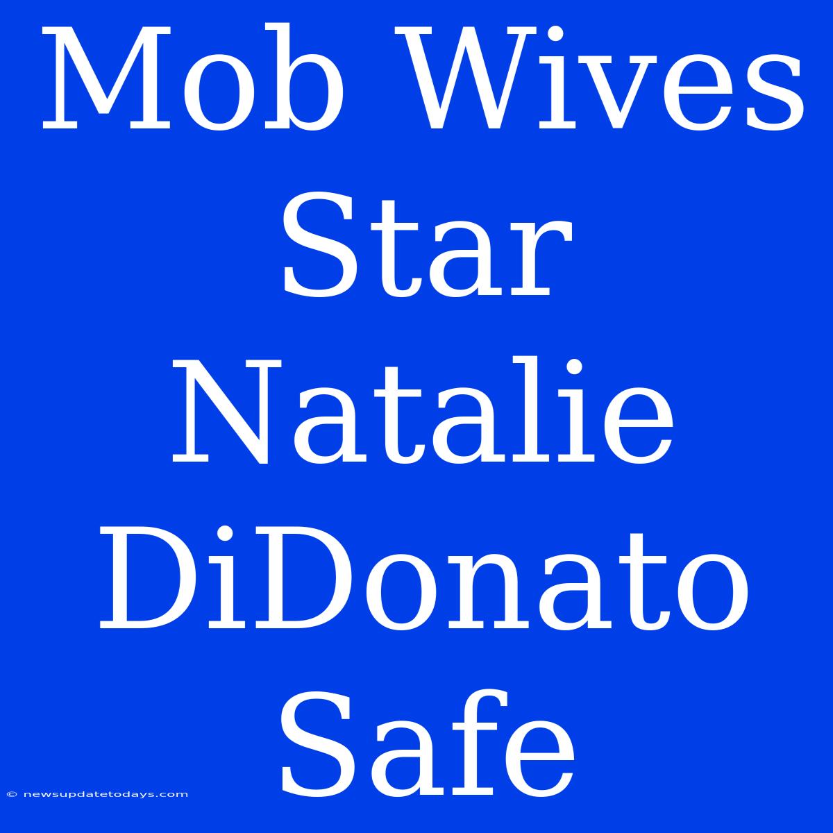 Mob Wives Star Natalie DiDonato Safe