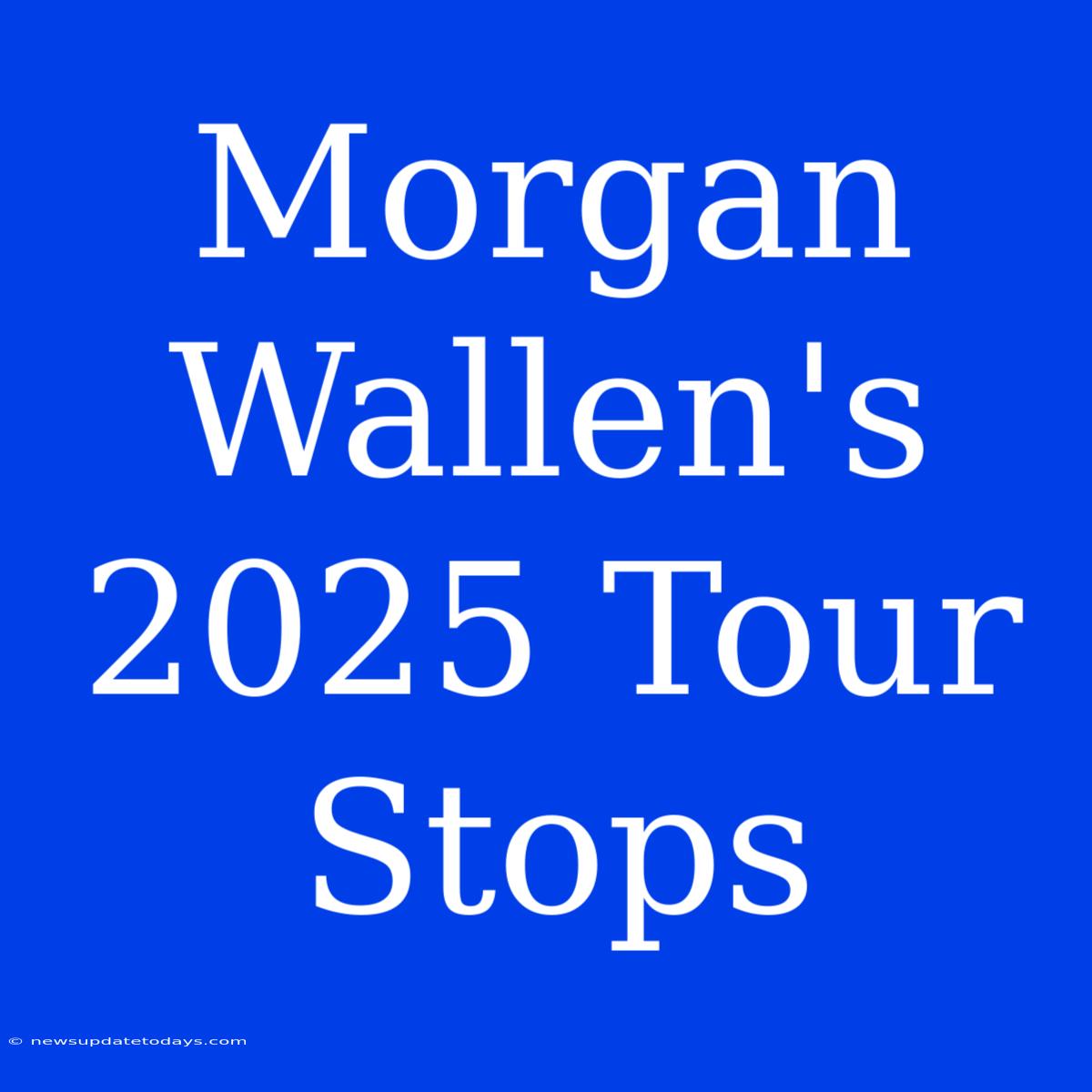 Morgan Wallen's 2025 Tour Stops