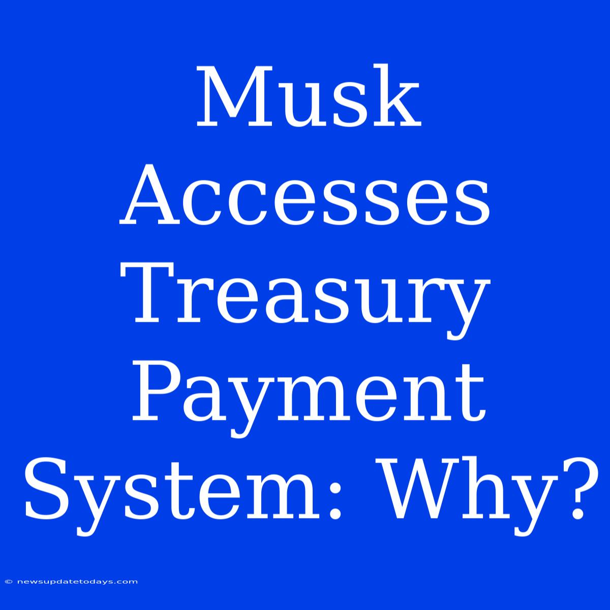 Musk Accesses Treasury Payment System: Why?