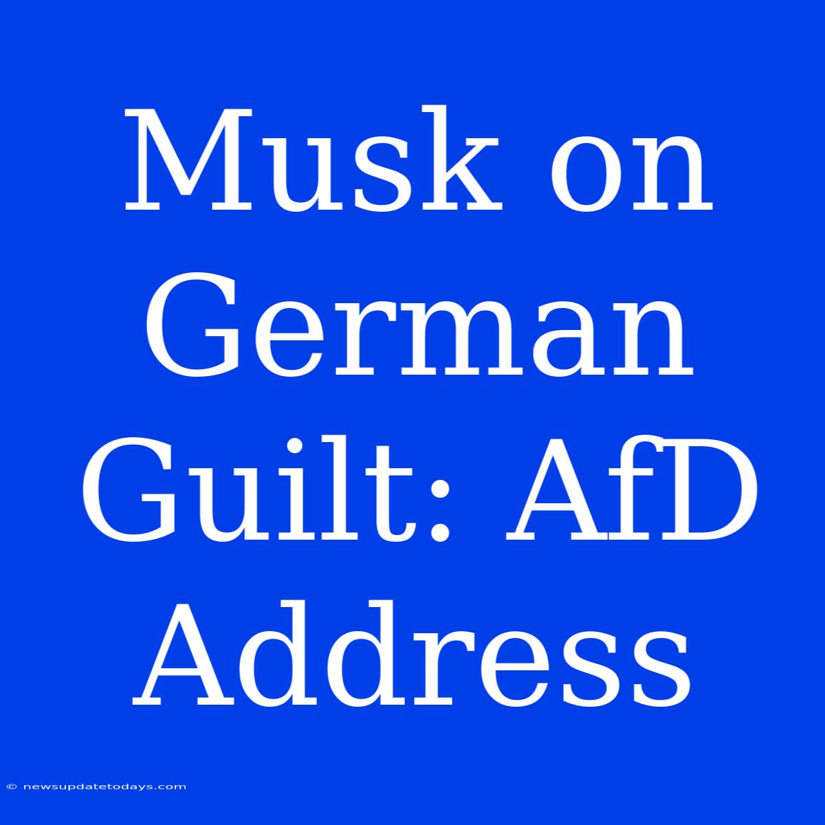 Musk On German Guilt: AfD Address