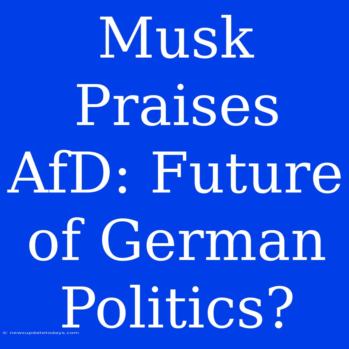 Musk Praises AfD: Future Of German Politics?