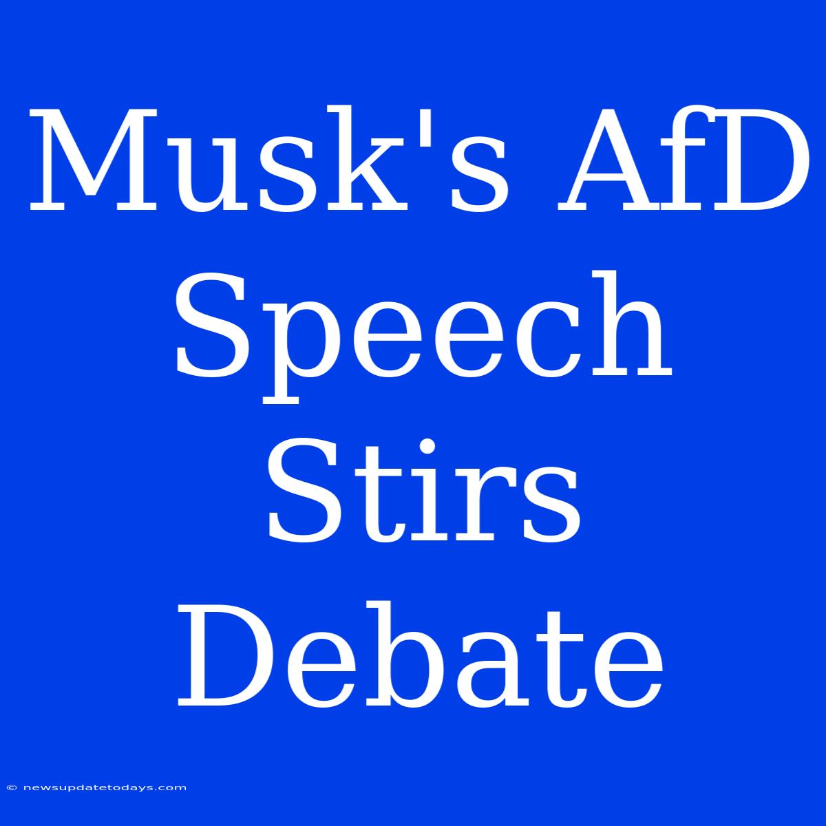 Musk's AfD Speech Stirs Debate