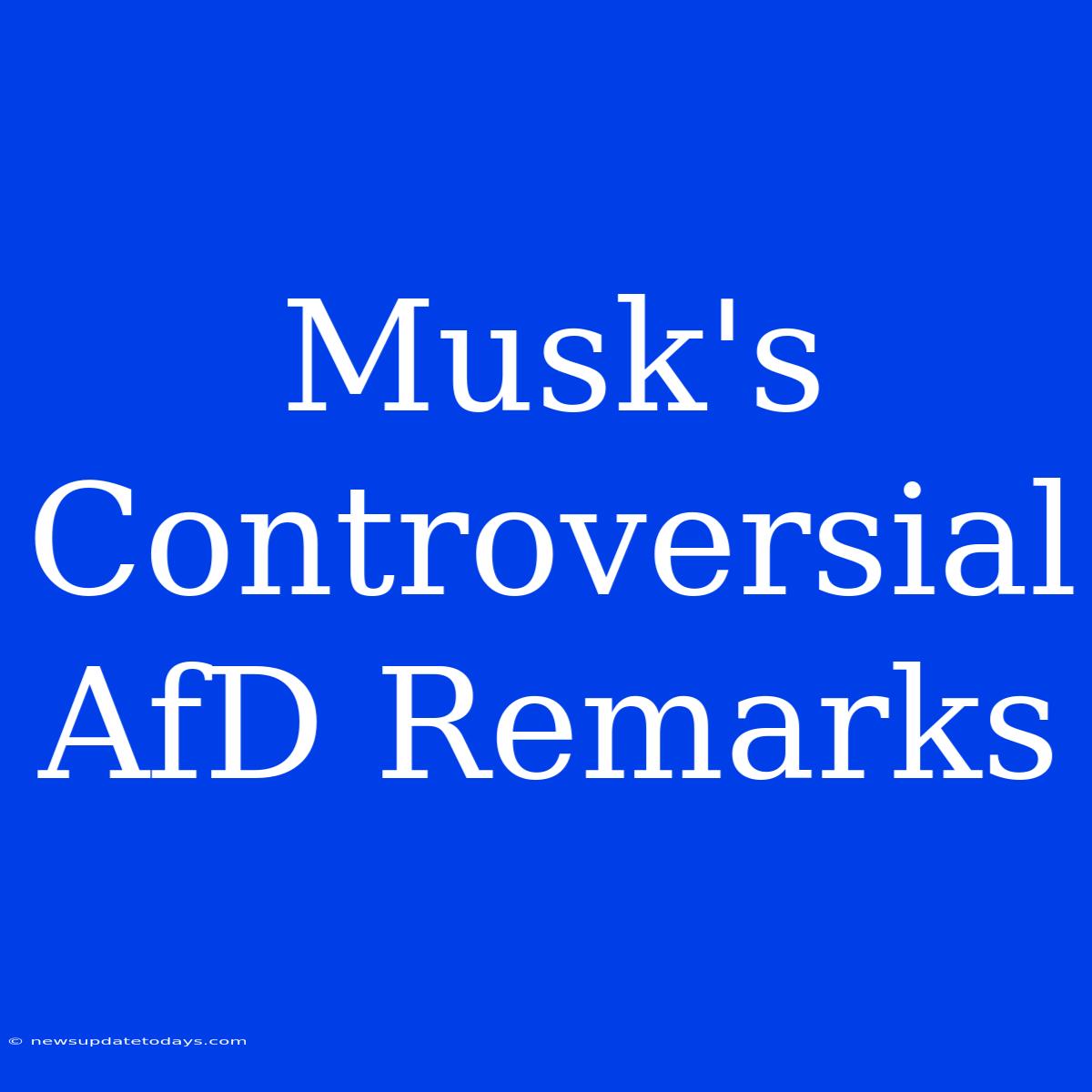 Musk's Controversial AfD Remarks