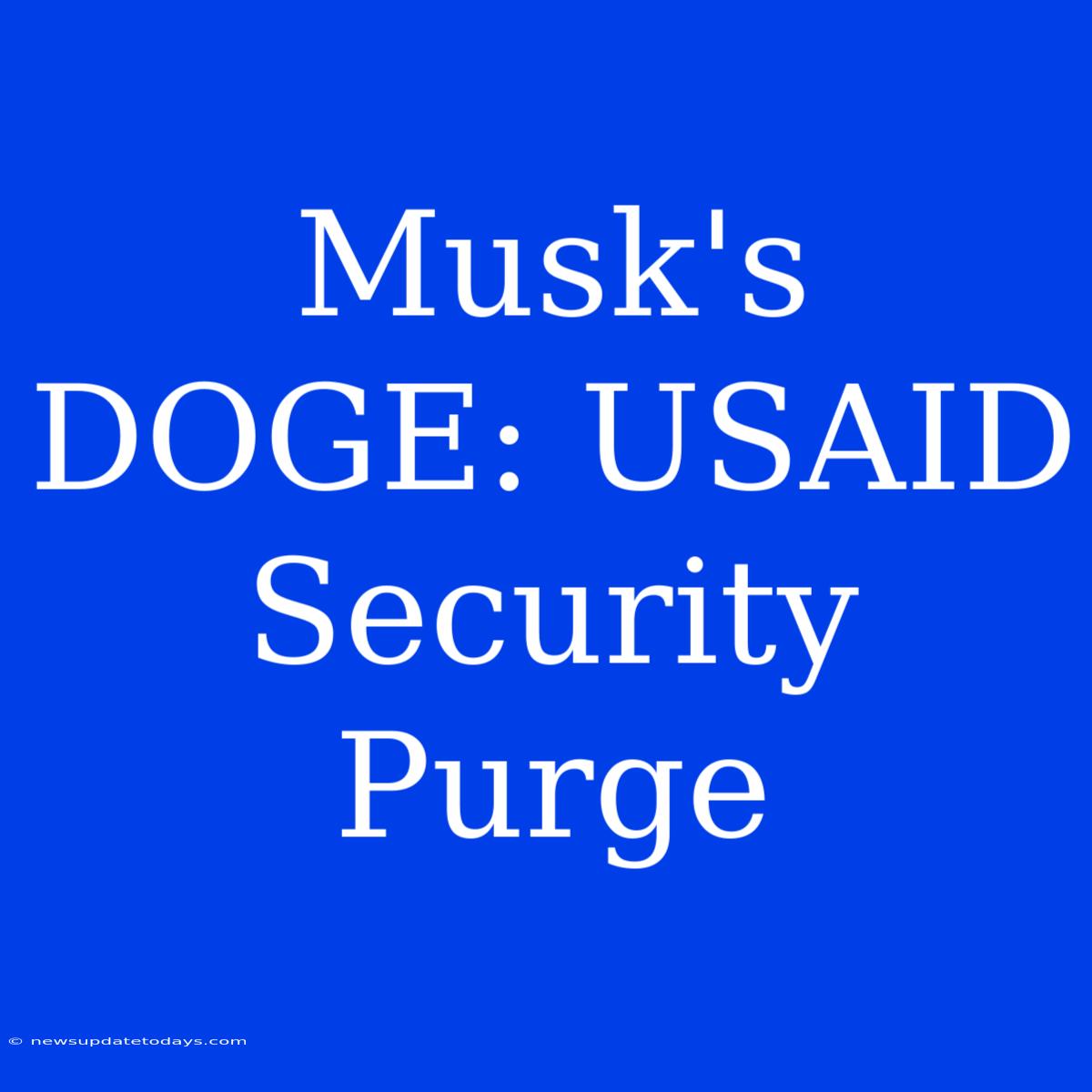 Musk's DOGE: USAID Security Purge