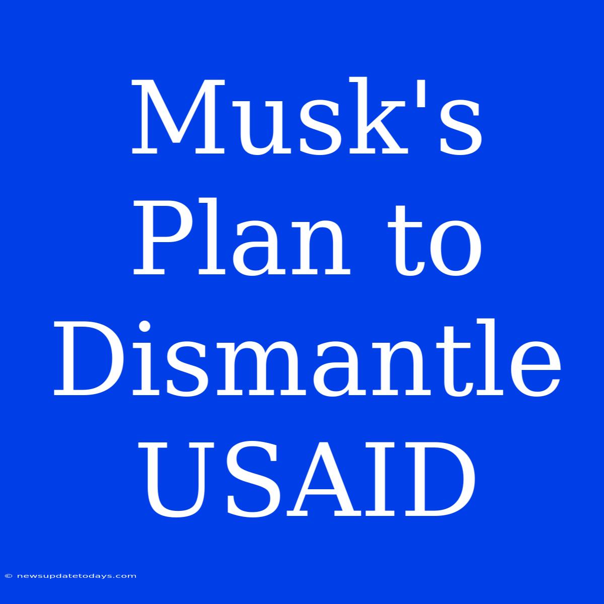 Musk's Plan To Dismantle USAID