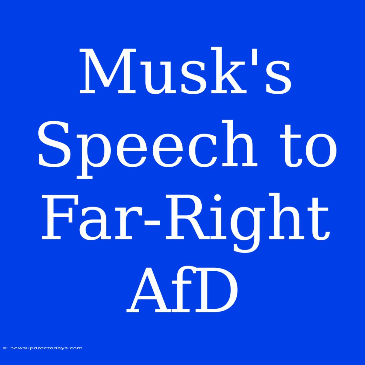 Musk's Speech To Far-Right AfD