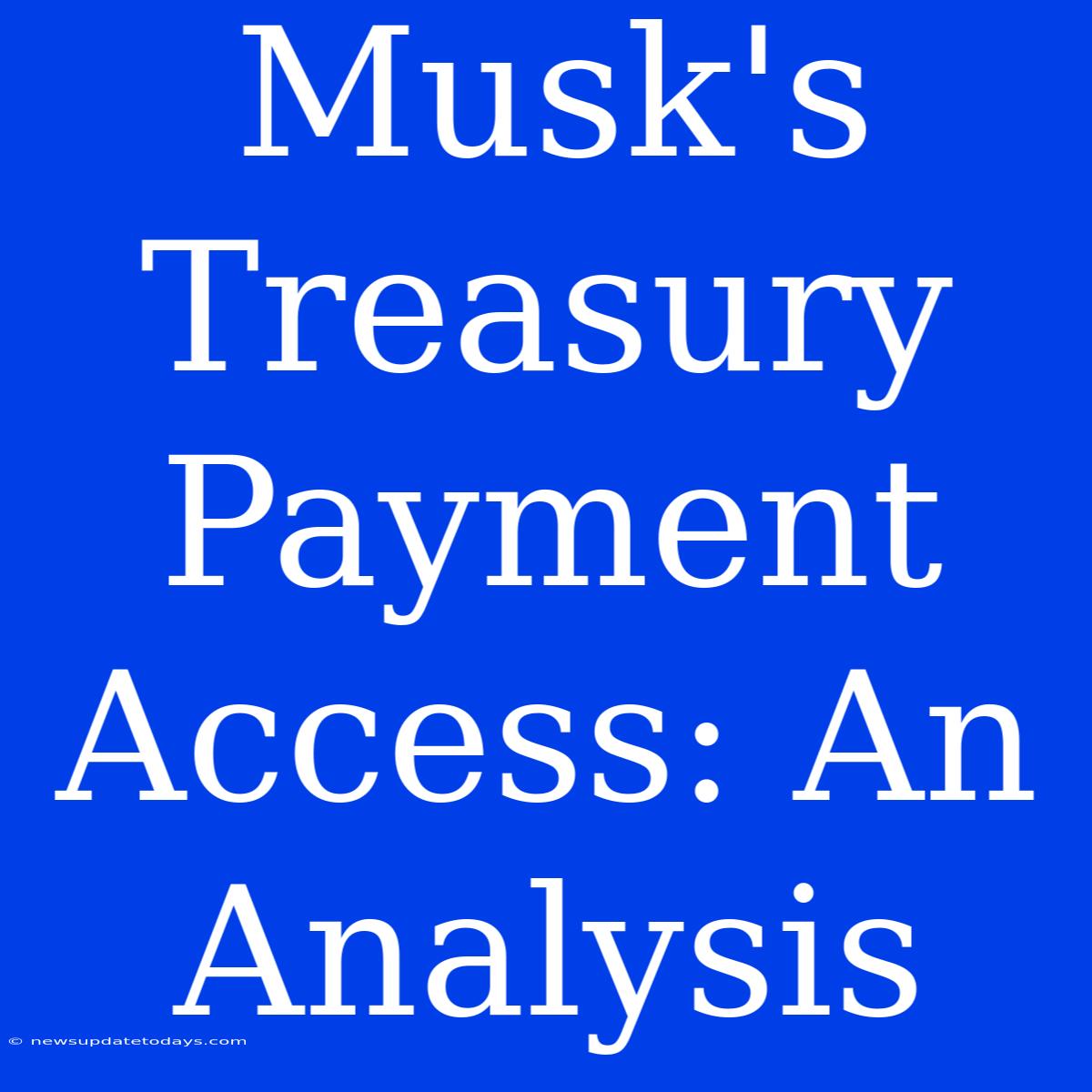 Musk's Treasury Payment Access: An Analysis