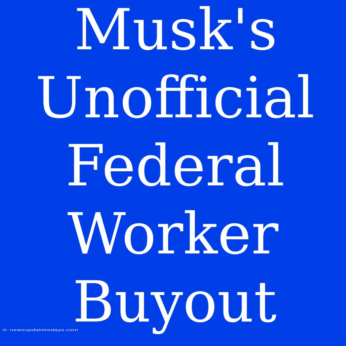 Musk's Unofficial Federal Worker Buyout