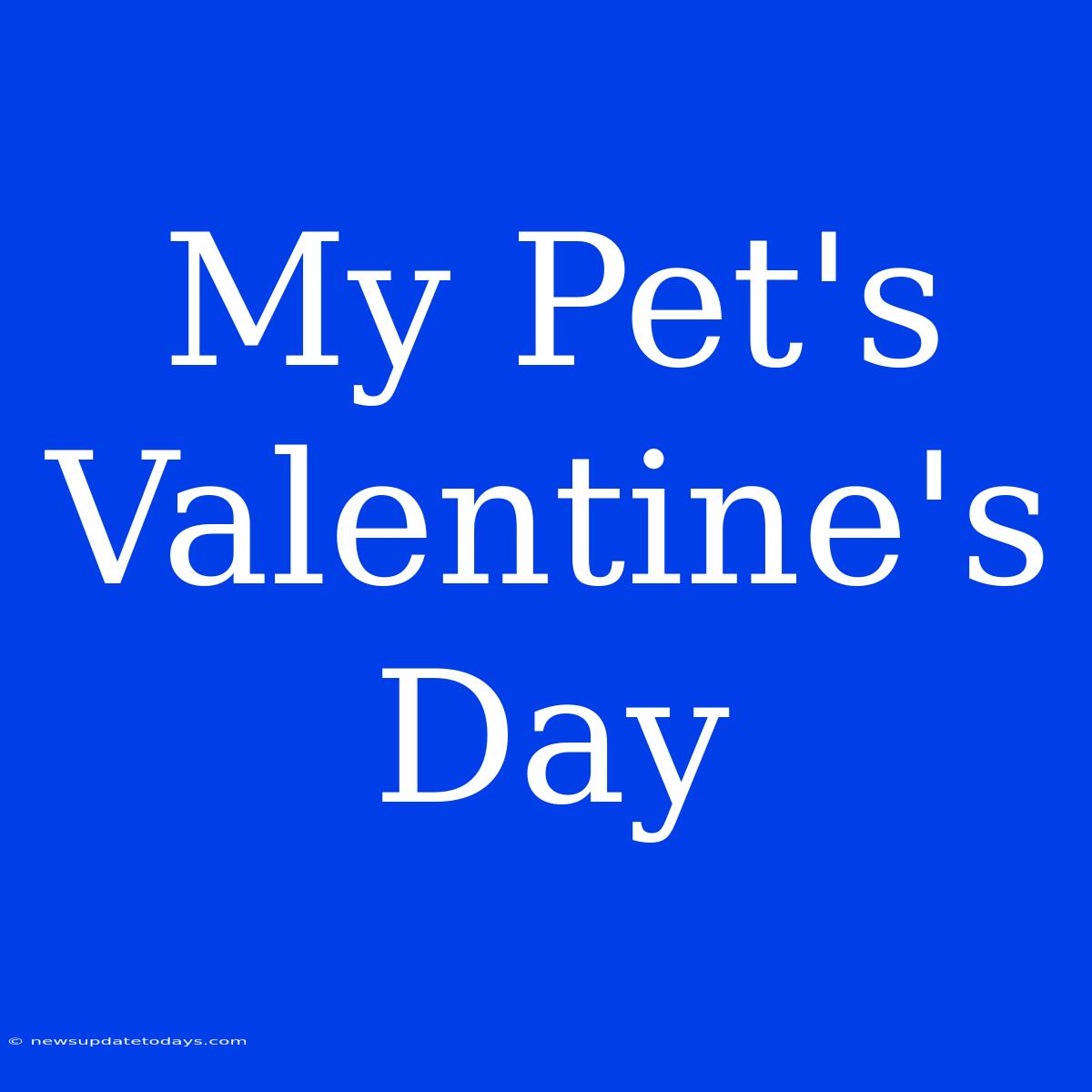 My Pet's Valentine's Day