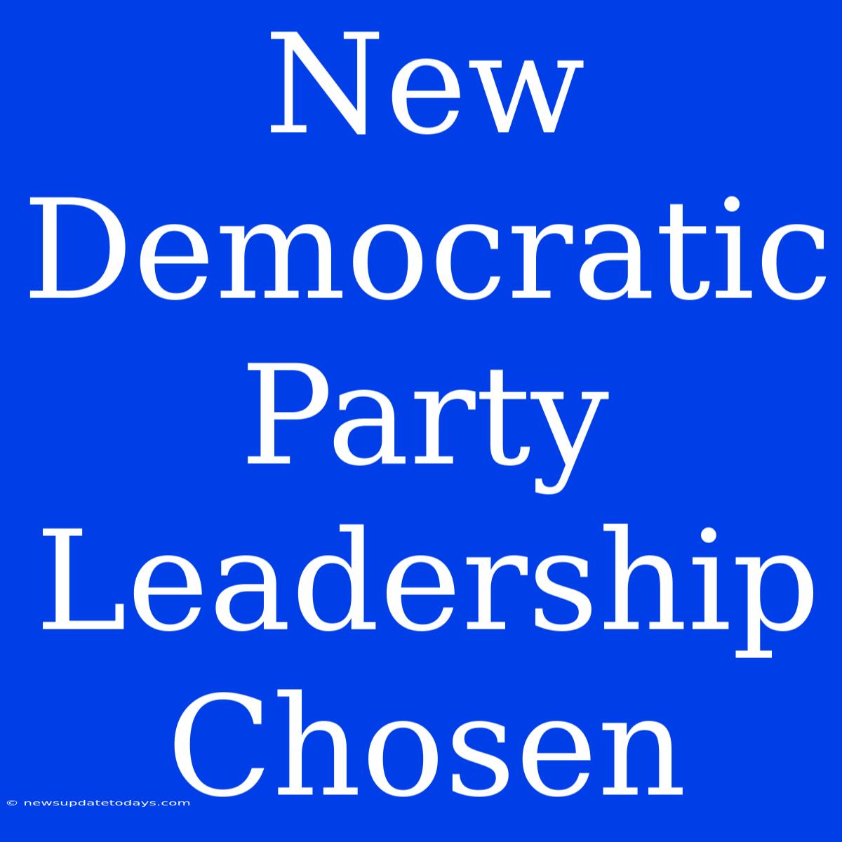 New Democratic Party Leadership Chosen