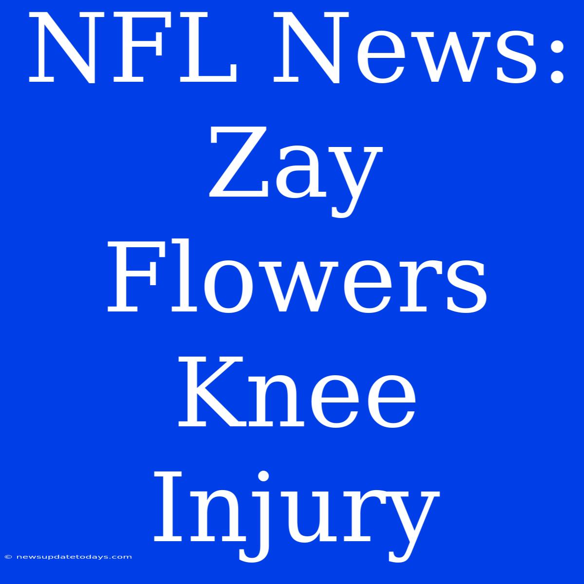 NFL News: Zay Flowers Knee Injury