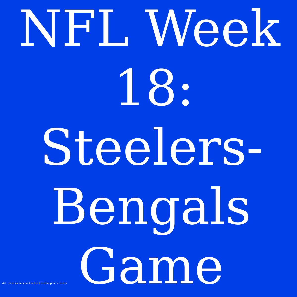 NFL Week 18: Steelers-Bengals Game