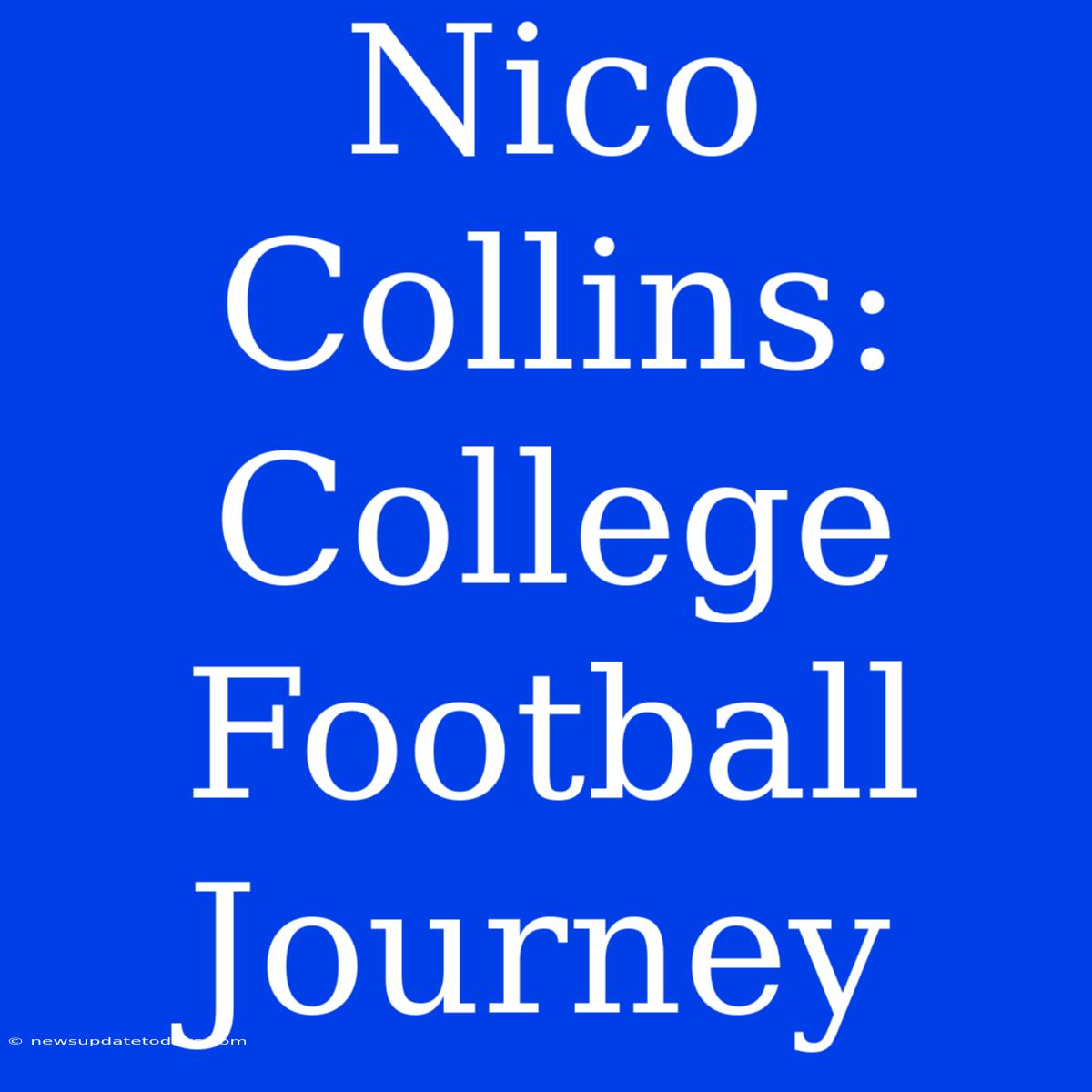 Nico Collins: College Football Journey