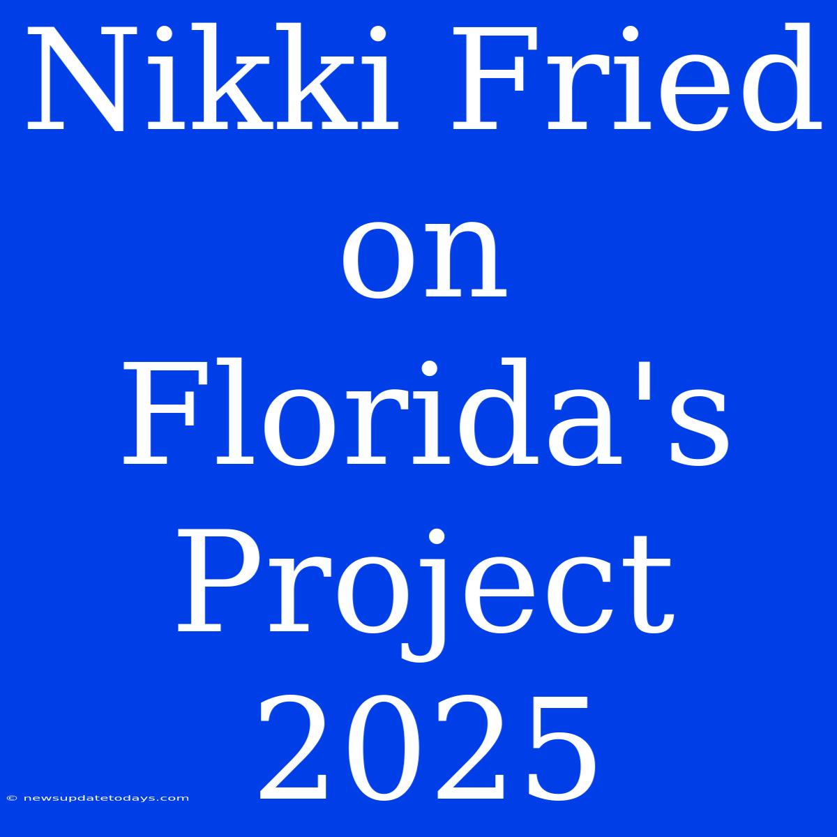 Nikki Fried On Florida's Project 2025